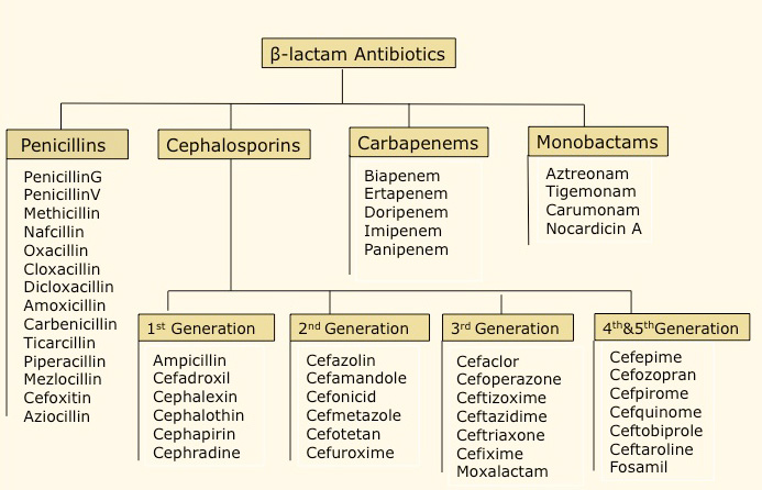 Antibiotics - Wikipedia
