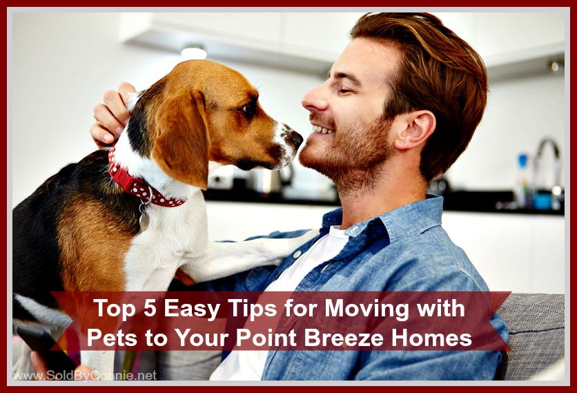 point breeze homes for sale point breeze homes for sale