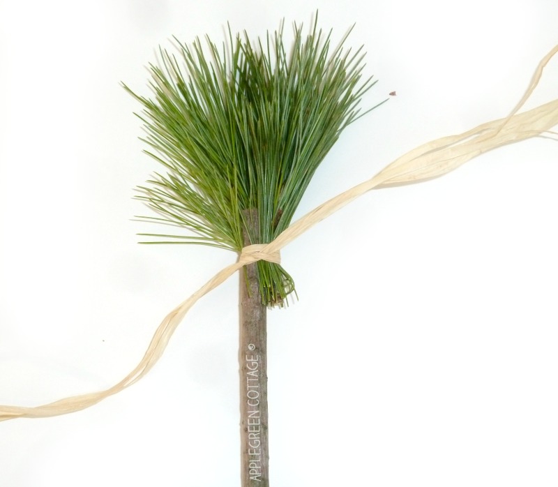diy nature paint brushes for kids making your own nature paint brushes is easy - Paint Pictures For Kids diy nature paint brushes for kids making your own nature paint brushes is easy - Paint Pictures For Kids