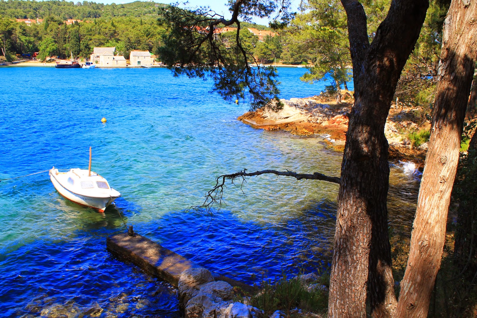 A Truly Wonderful Voyage TUNA Sail Croatia