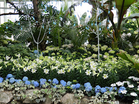 Allan Gardens Conservatory Easter Flower Show white lillies blue hydrangeas by garden muses: a Toronto gardening blog