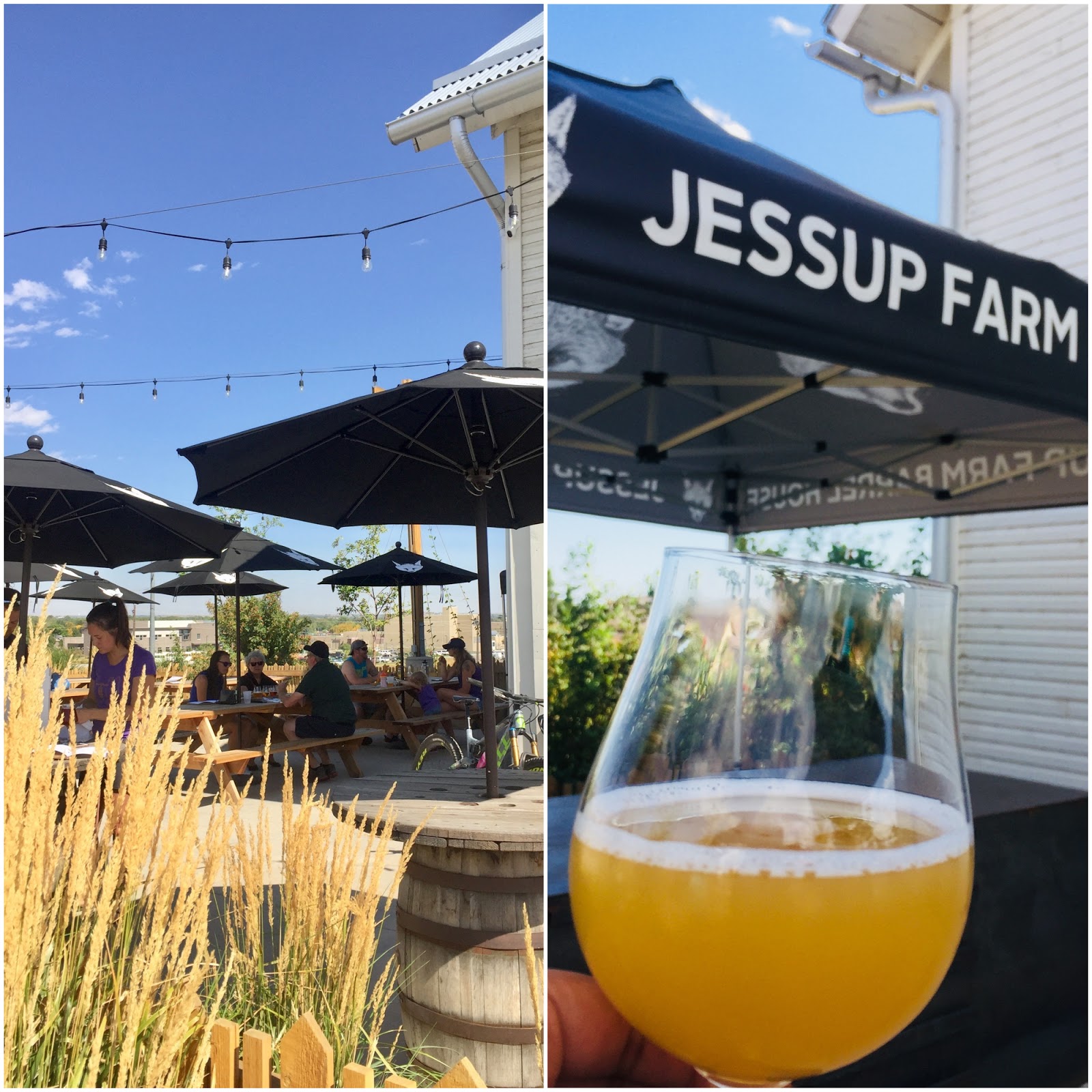 Brews, bites and bikes A weekend in Fort Collins Cooking Quidnunc