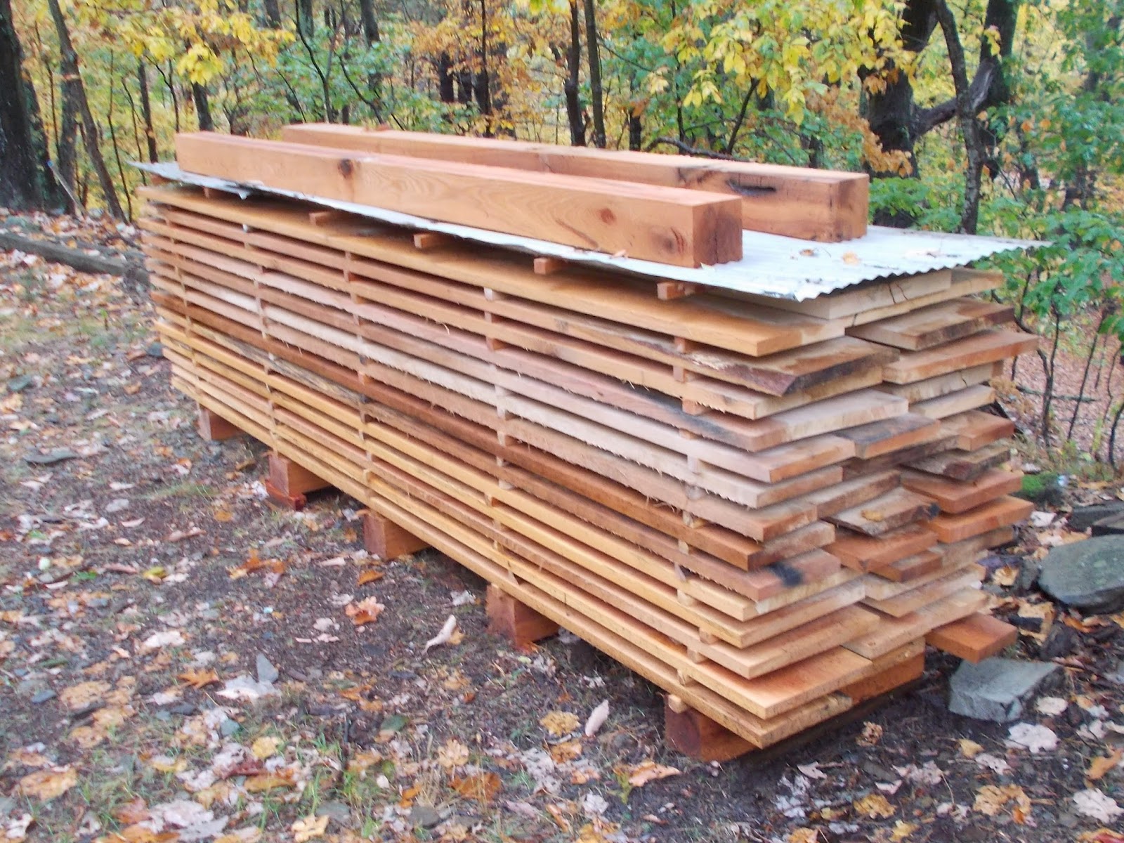 Out of the Woodwork Drying Out