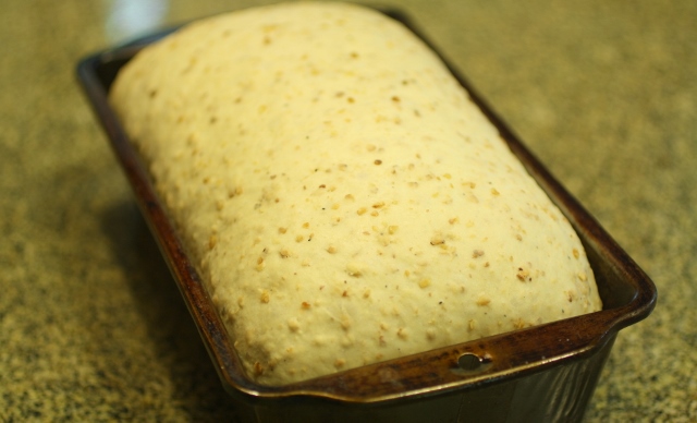 Pan de avena tostada / Toasted oatmeal bread