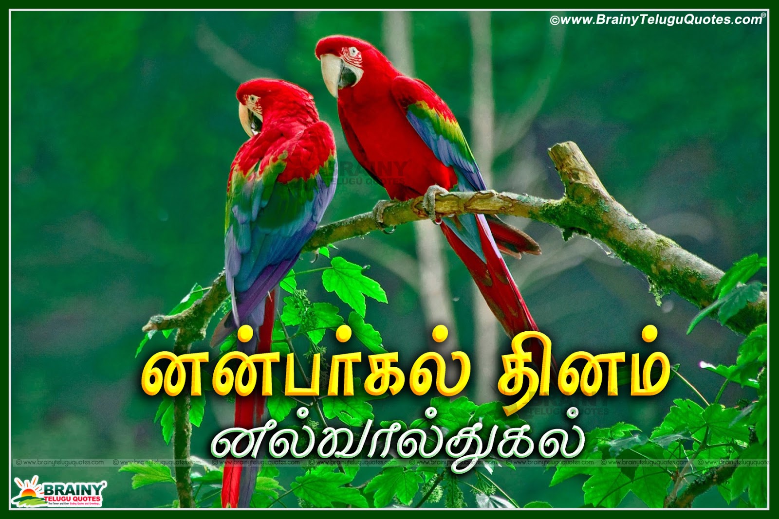 Super Friendship Day Tamil Kavithai Images BrainyTeluguQuotes