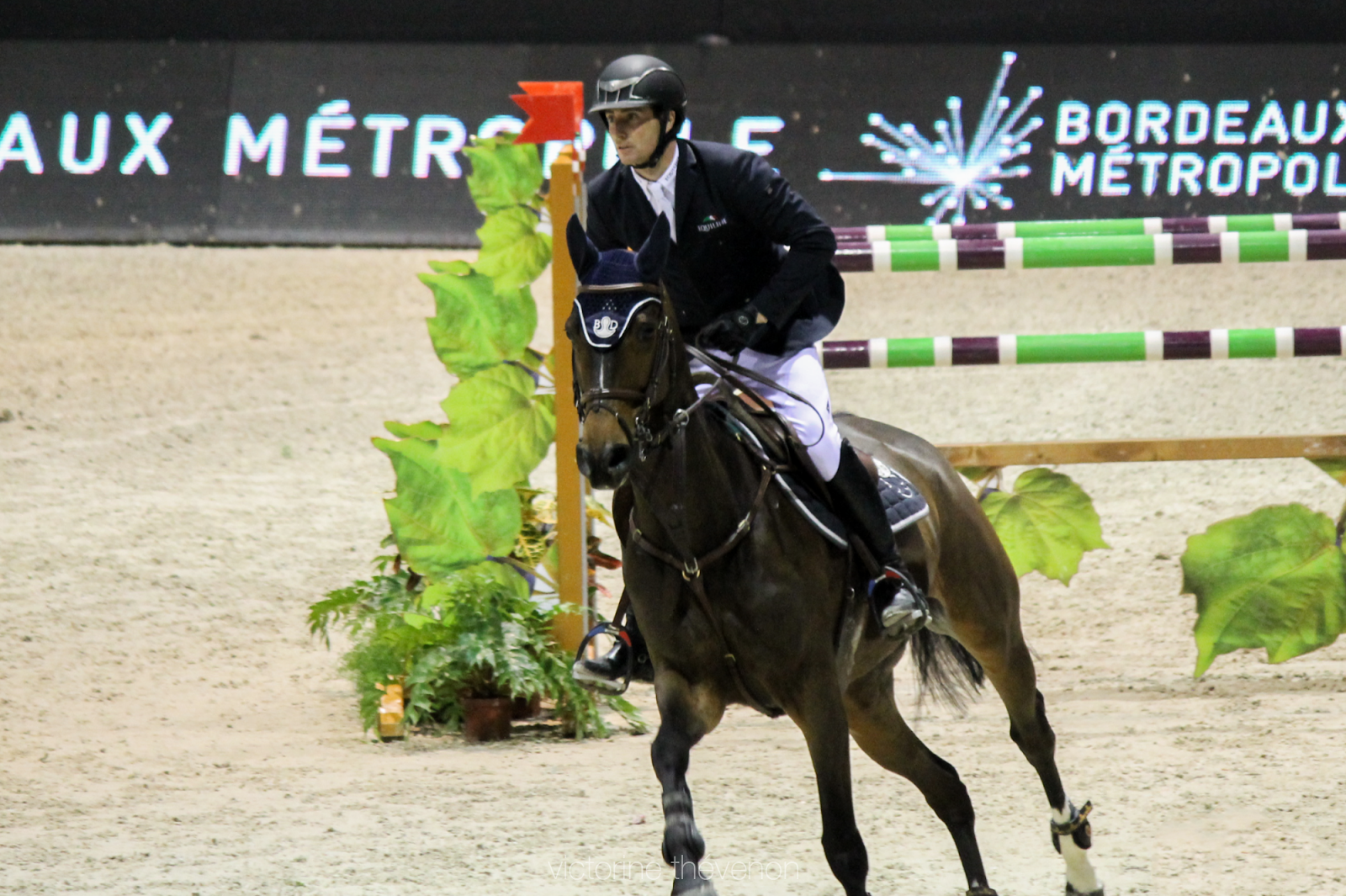 jumping bordeaux jumping bordeaux