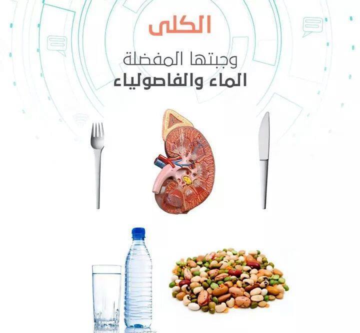 بالصور الوجبة المفضلة لكل عضو من أعضاء الجسم ، ستندهش بالصور الوجبة المفضلة لكل عضو من أعضاء الجسم ، ستندهش