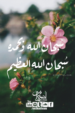 shof_d70f0f247912a0e
