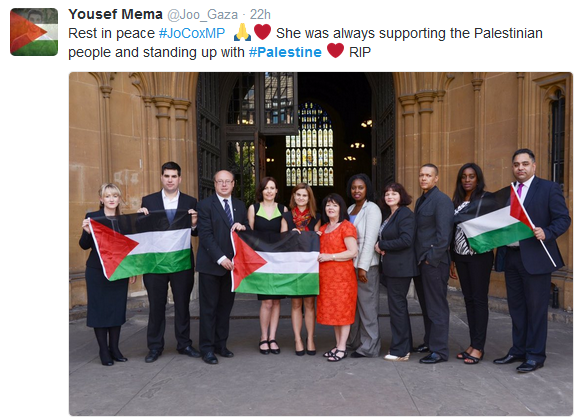 Image result for jo cox palestine