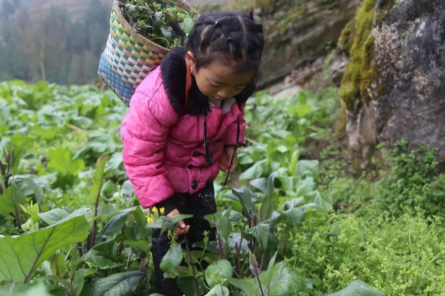 5-year-old girl takes sole care of grandma China 5-year-old girl takes sole care of grandma China