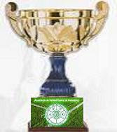 Taça Cidade Berço
