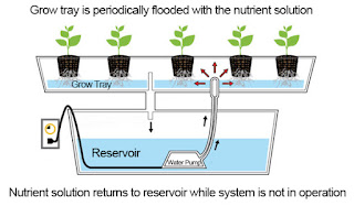 Soil- Less Modern Agriculture: - Hydroponics & Aeroponics Farming System
