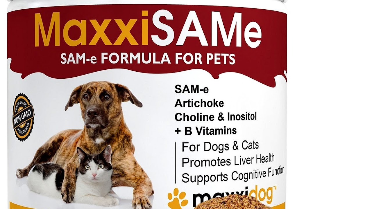 Sam E Supplement For Dogs Dog Choices