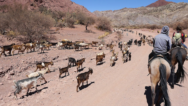 Tupiza Bolivia Horse Ride