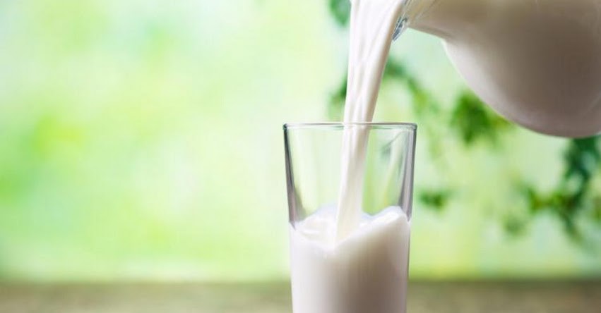 Perú congregará a más de 150 expertos internacionales en el estudio de la proteína de la leche Perú congregará a más de 150 expertos internacionales en el estudio de la proteína de la leche