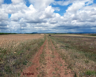 Llanos del Berrocal
