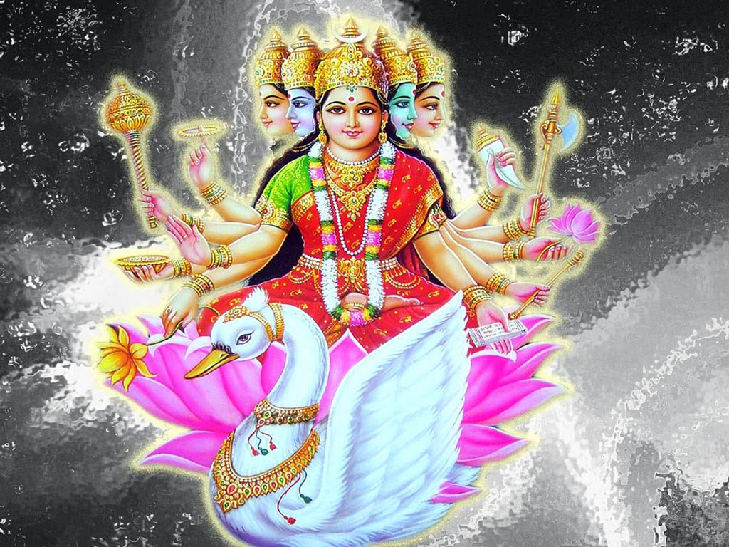 Goddess Maa Gayatri Devi HD wallpapers Images Pictures photos Gallery Free  Download | Hindu God Image 
