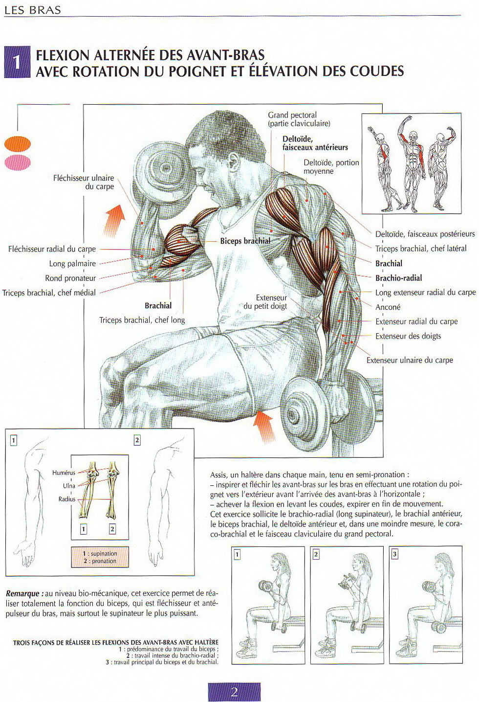 BODYBUILDING Another Best Bicep Workouts
