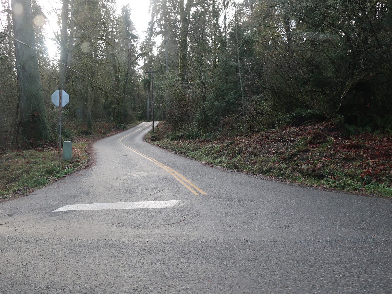 Reading the Washington Landscape Toe Jam Fault, Bainbridge Island