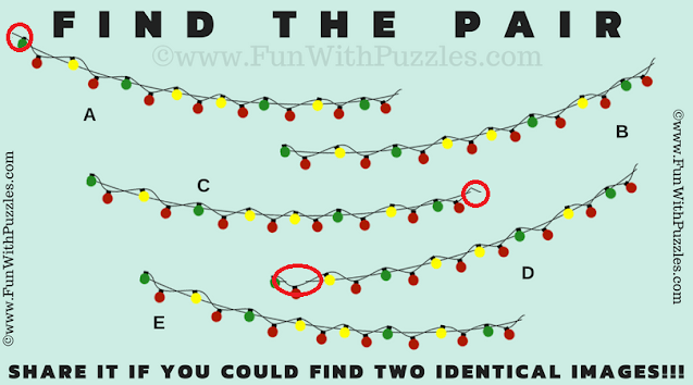 Visual Match: Easy Picture Riddle for Teens - Answer