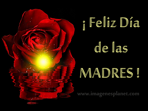 Imagenes De Feliz Dia Romanticas | feliz d 205 a de las madres im 225 genes de amor con movimiento Imagenes De Feliz Dia Romanticas | feliz d 205 a de las madres im 225 genes de amor con movimiento