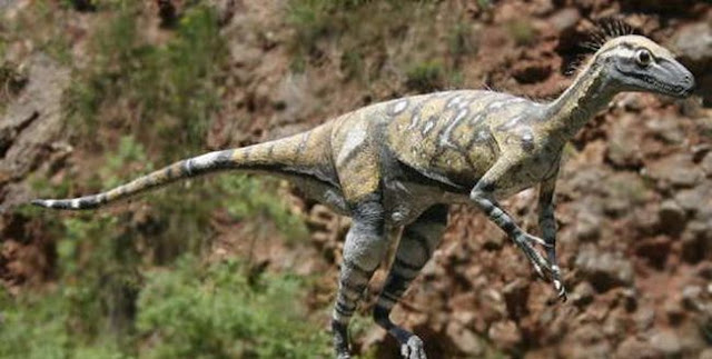 6 Fakta Menarik Tentang Pachycephalosaurus