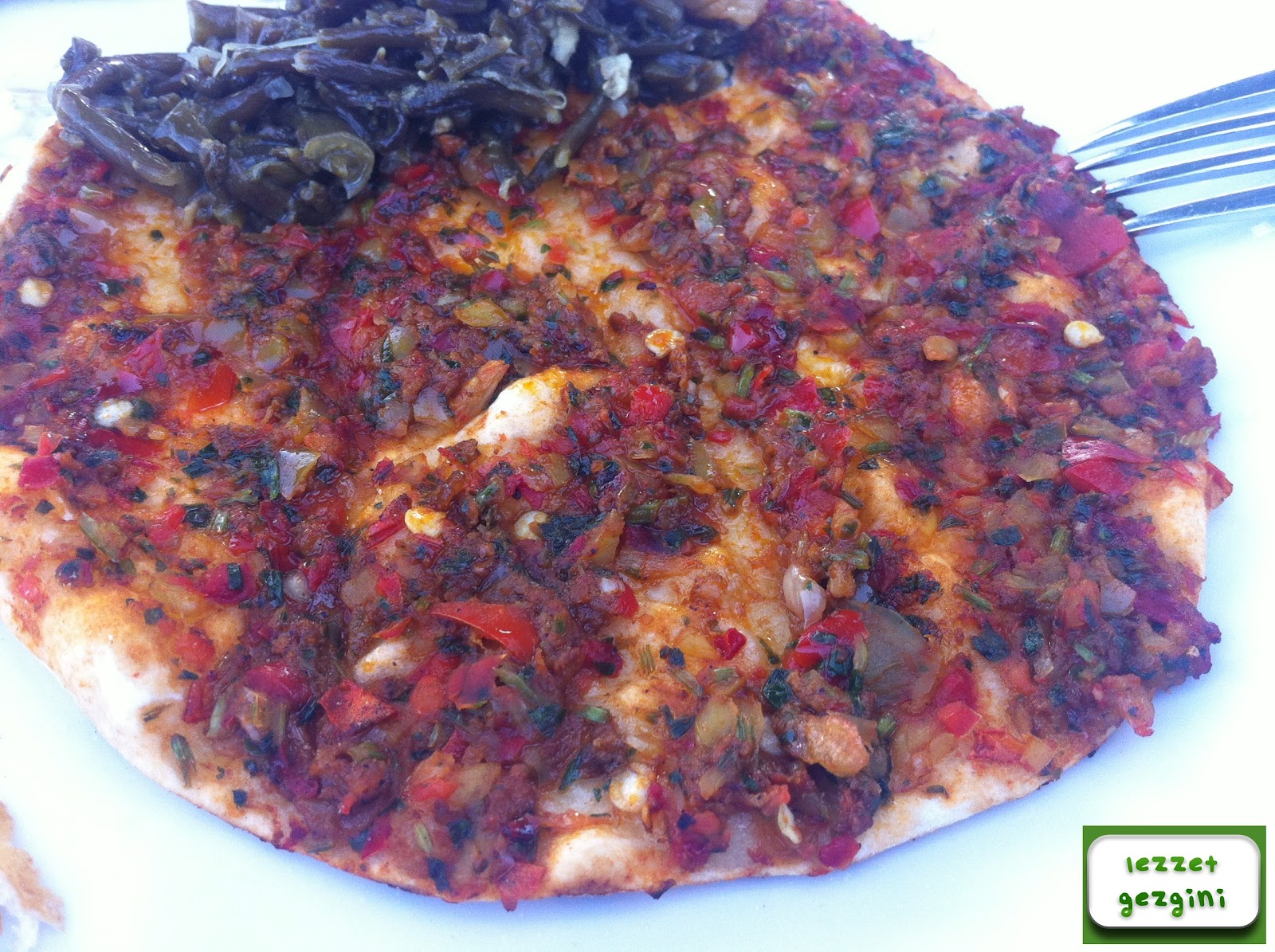 Lezzet Gezgini; Gezdim, Buldum, Yedim, Doydum.. Özsu (Kutluhan) Et