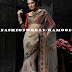 Festival Embroidered Net Saree
