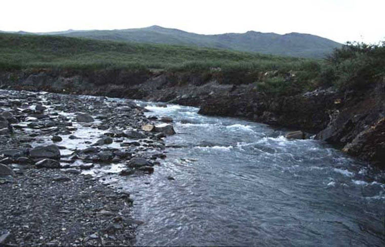 Chandalar River Picture