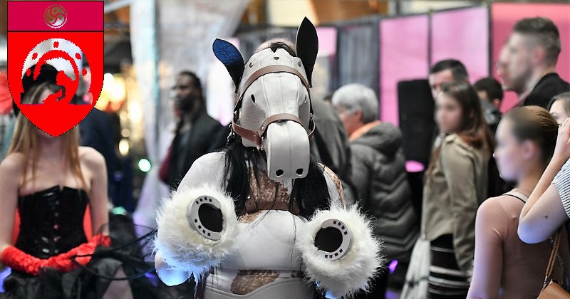 Le ponyPlay cela n’est pas si facile