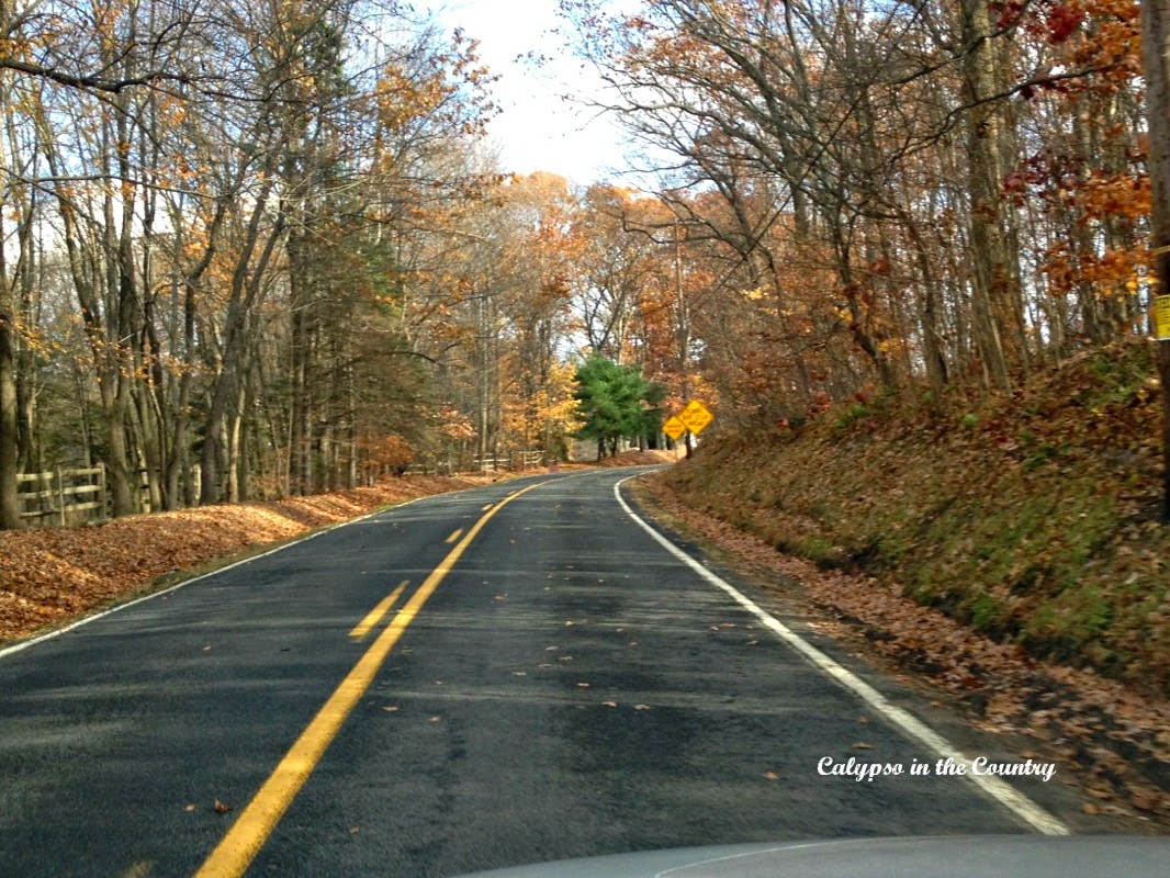 Country Road inSergeantsville NJ Country Road in Sergeantsville NJ