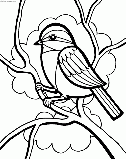 Dibujos Sin Colorear: Dibujos de Pájaros para Colorear