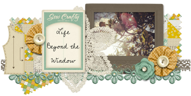 Life Beyond the Window