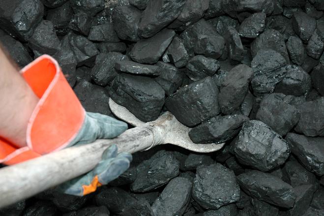 Why Coal Petroleum And Natural Gas Are Called Fossil Fuels Why Coal Petroleum And Natural Gas Are Called Fossil Fuels