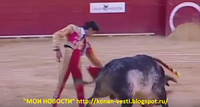 Видеть всё фильм смотреть онлайн в хорошем качестве
