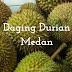 Jual Daging Durian Medan Berkelas di Prabumulih