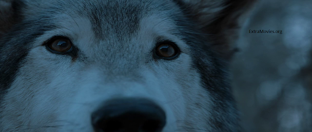 GOTS07E02 download and watch online GOTS07E02 download and watch online