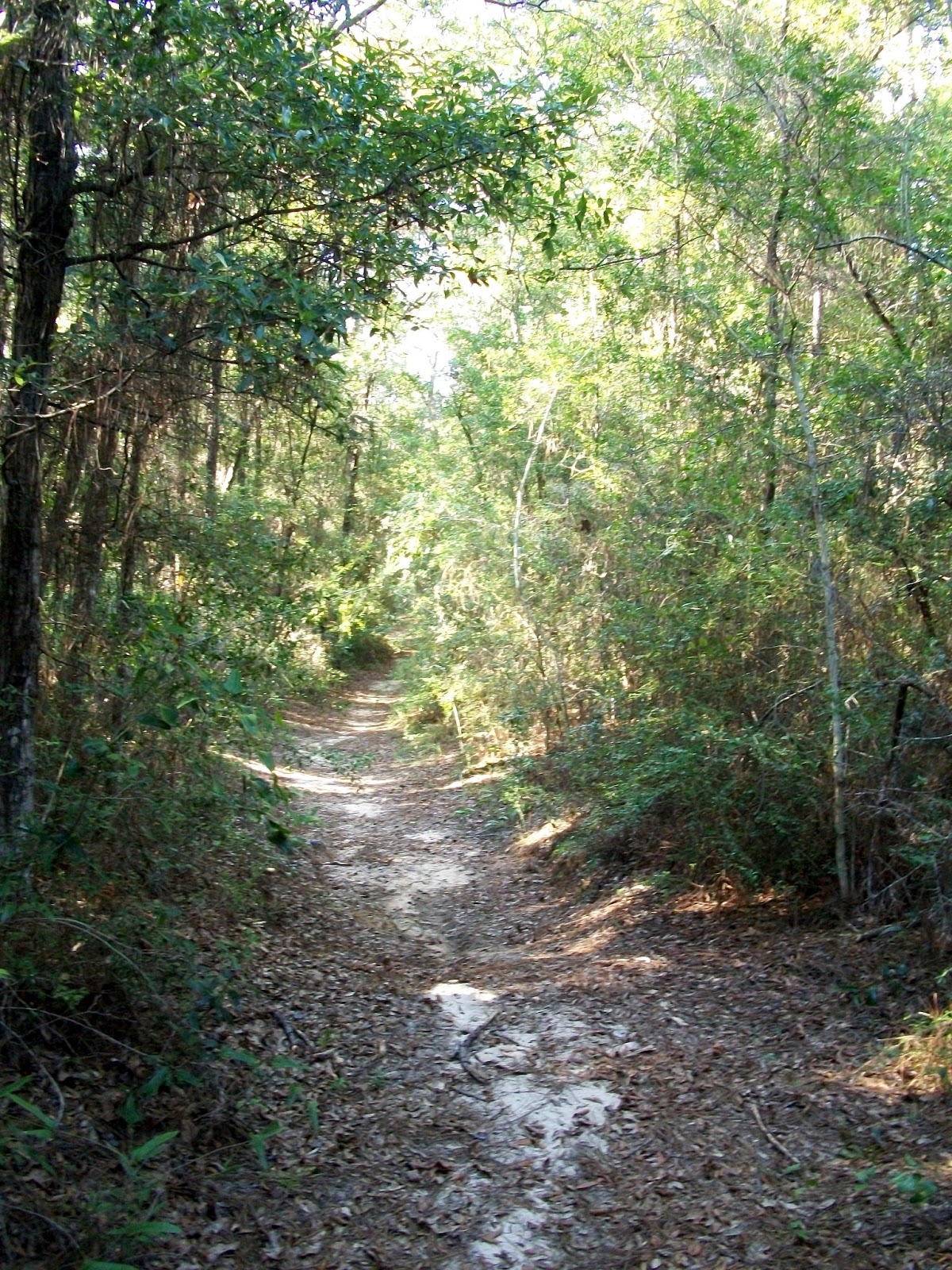 Love to Live in Pensacola Florida Exploring the UWF Love to Live in Pensacola Florida Exploring the UWF