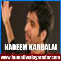 http://ishqehaider.blogspot.com/2013/11/nadeem-karbalai-nohay-2014.html