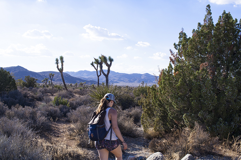 Hiking in Josuha Tree Joshua Tree National Park, Joshua Tree, Mojave Desert, Colorado Desert, DSLR, Landscape Photography, Desert Photography
