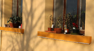 Flowers out on the windowsill in the morning sun Flowers out on the windowsill in the morning sun