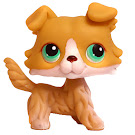 Littlest Pet Shop Tubes Collie (#272) Pet