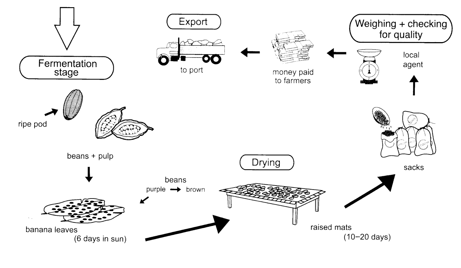 TESOL Materials (plus my reviews of stuff): The diagram below shows how