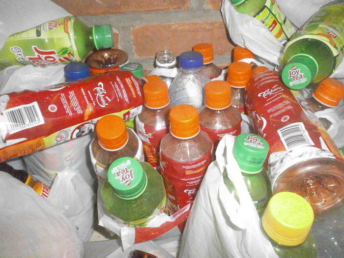 Program Adiwiyata SD SAIM Surabaya Percobaan SAINS