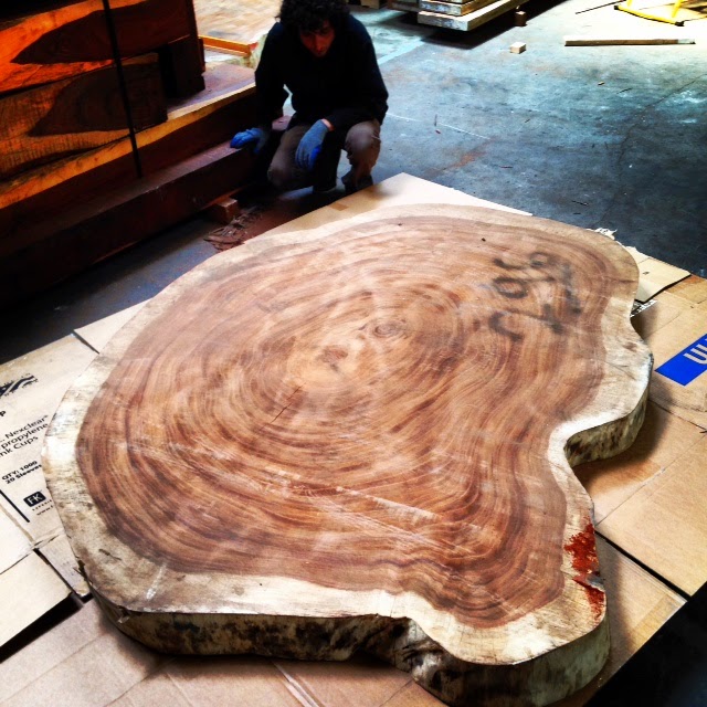wood Large Parota crosscut slab!