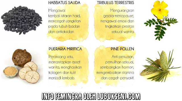 BAHAN ORGANIK BERMUTU TINGGI FEMINGRA _ habbatus sauda _ PUERARIA MIRIFICA _ TRIBULUS TERRESTRIS BAHAN ORGANIK BERMUTU TINGGI FEMINGRA _ habbatus sauda _ PUERARIA MIRIFICA _ TRIBULUS TERRESTRIS