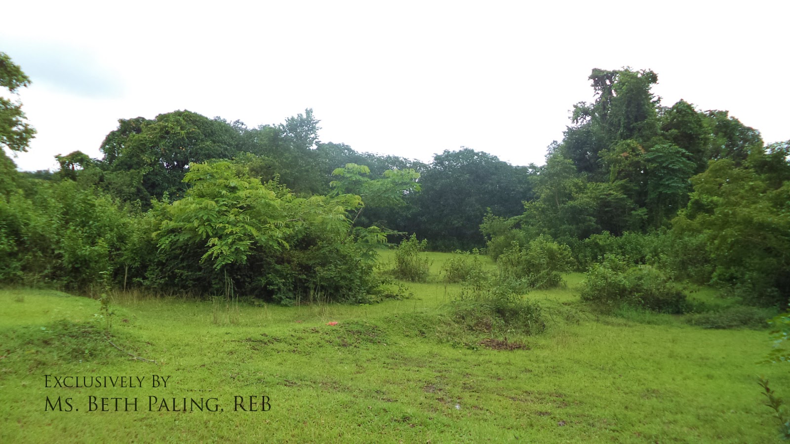 Pangasinan Properties Land for sale in Capulaan, Villasis, Pangasinan