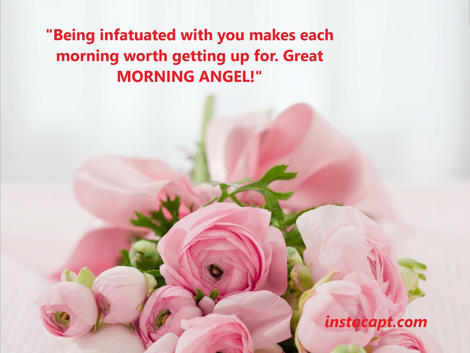 Love Quotes https://www.instacapt.com/2018/09/best-good-morning-love-quotes.html