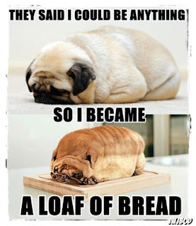 Funny Image Dog Face | White Bread Loaf