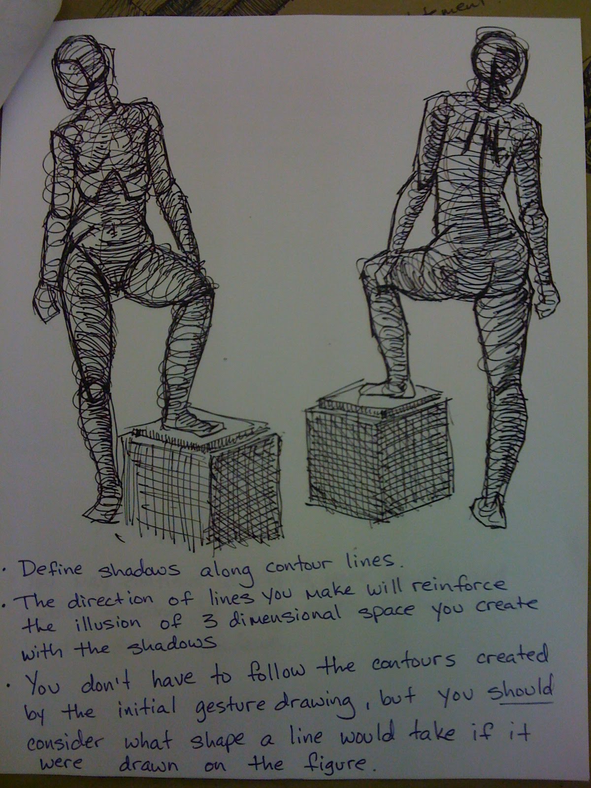 contour and gesture drawing